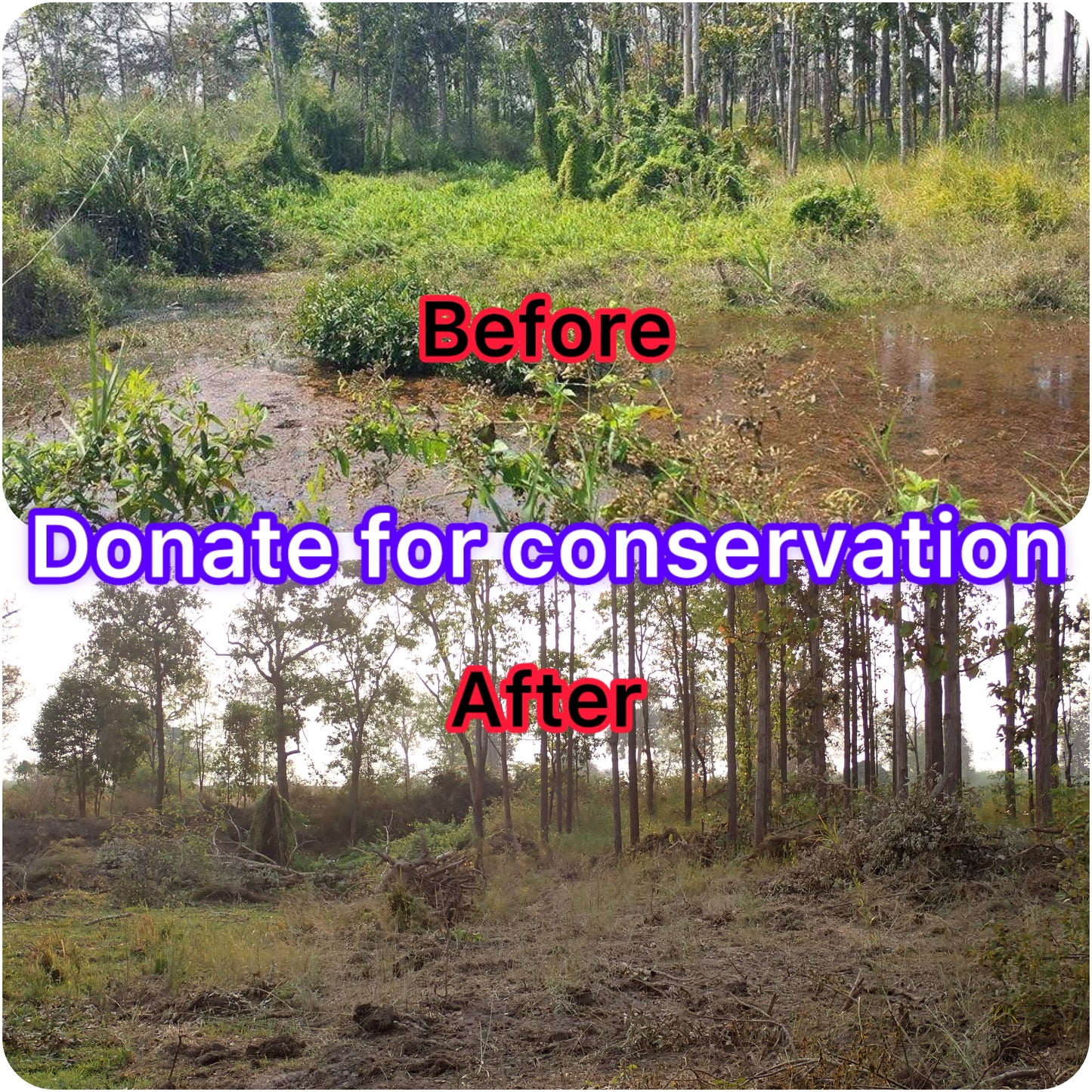 $10 Donation for conservation Pond Project