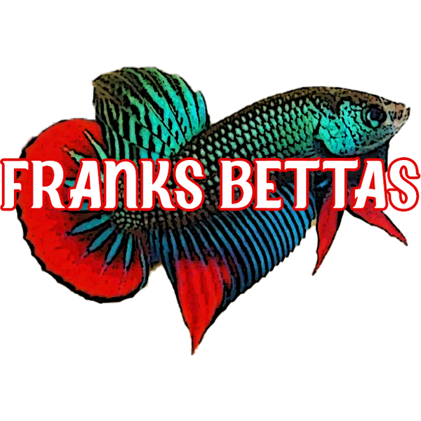 Franks Bettas